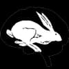 Harebrained