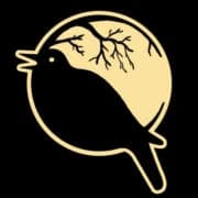 NightinGames